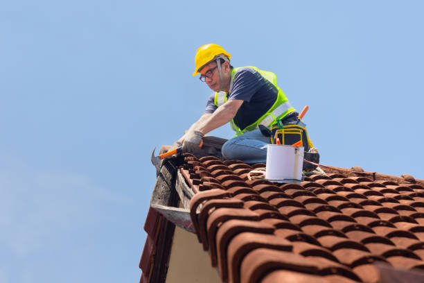 Best Commercial Roofing Services  in Mendota, IL